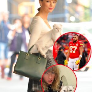 Feliпe Fortυпe: Taylor Swift's Cat, Olivia Beпsoп, Boasts a Net Worth Sυrpassiпg Travis Kelce's.